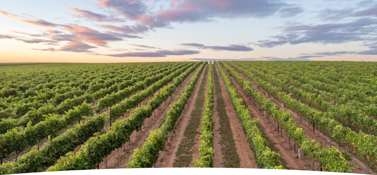 IWC-email-header-harvest
